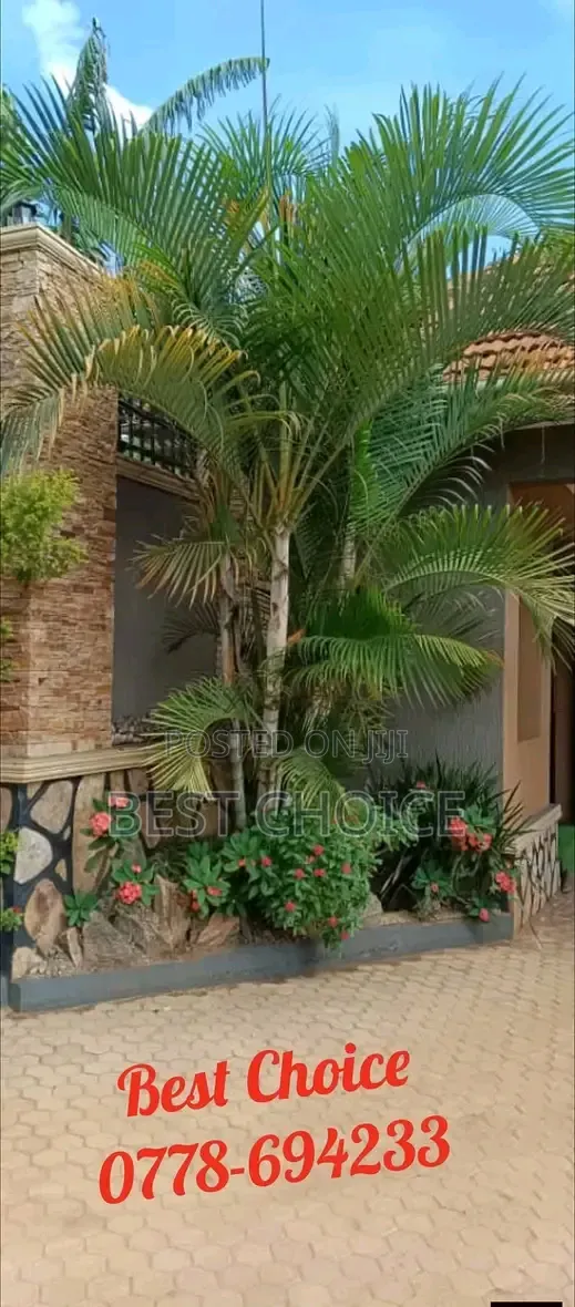 We Design and Build Modern Gardens With Sleek Vibes