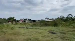 48 Acres of Farmland on Quick Sale in Ziroobwe