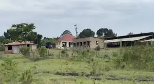 48 Acres of Farmland on Quick Sale in Ziroobwe