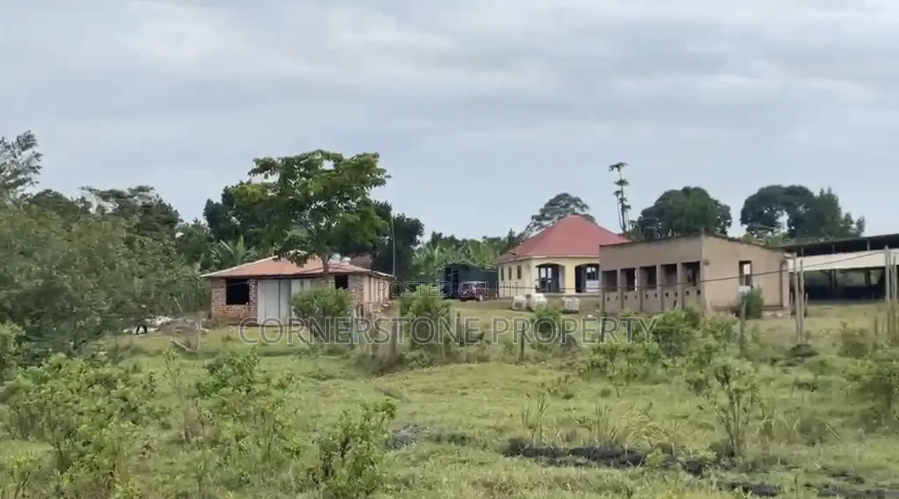 48 Acres of Farmland on Quick Sale in Ziroobwe
