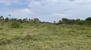 48 Acres of Farmland on Quick Sale in Ziroobwe