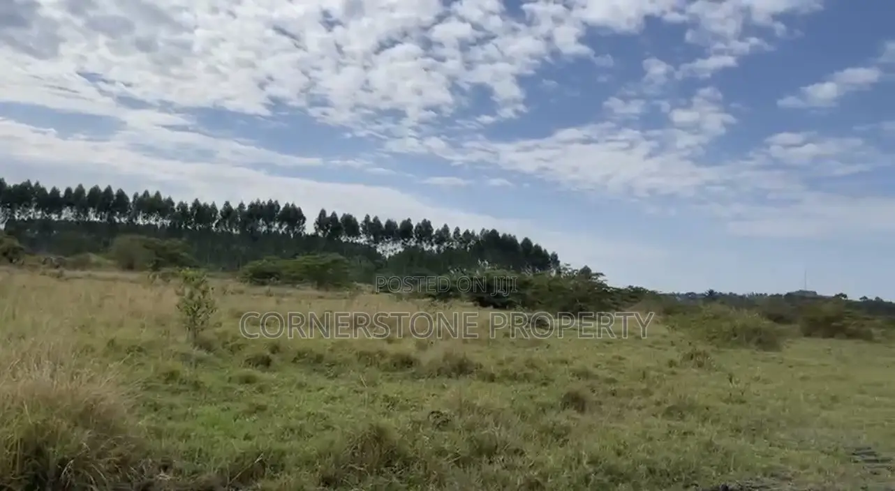 48 Acres of Farmland on Quick Sale in Ziroobwe