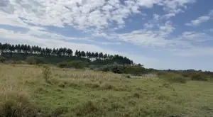 48 Acres of Farmland on Quick Sale in Ziroobwe