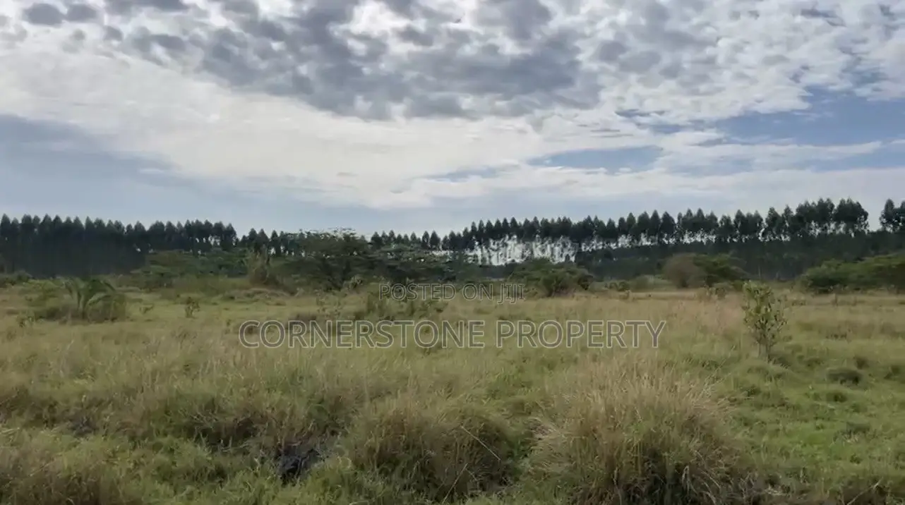 48 Acres of Farmland on Quick Sale in Ziroobwe