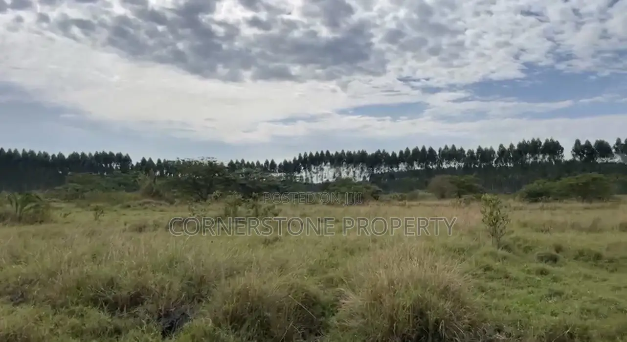 48 Acres of Farmland on Quick Sale in Ziroobwe