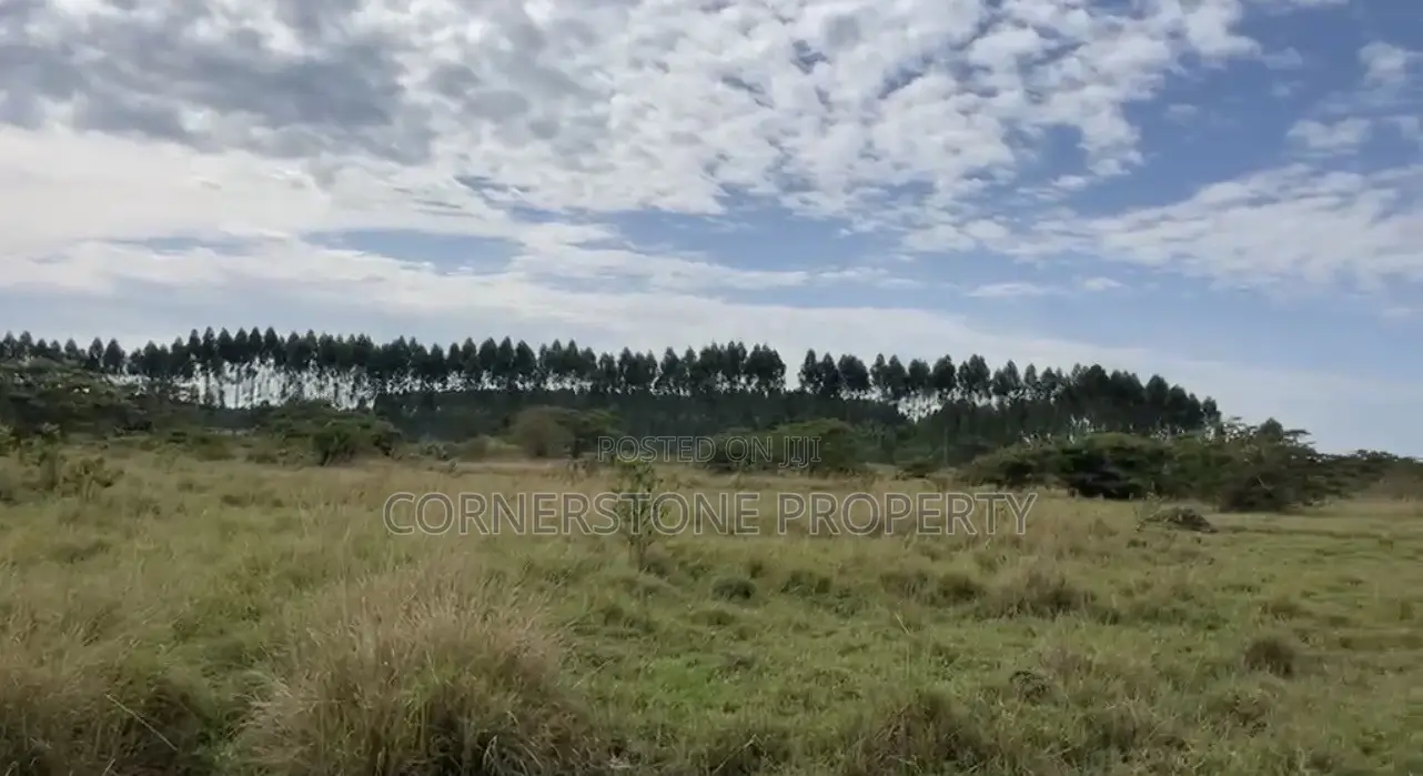 48 Acres of Farmland on Quick Sale in Ziroobwe