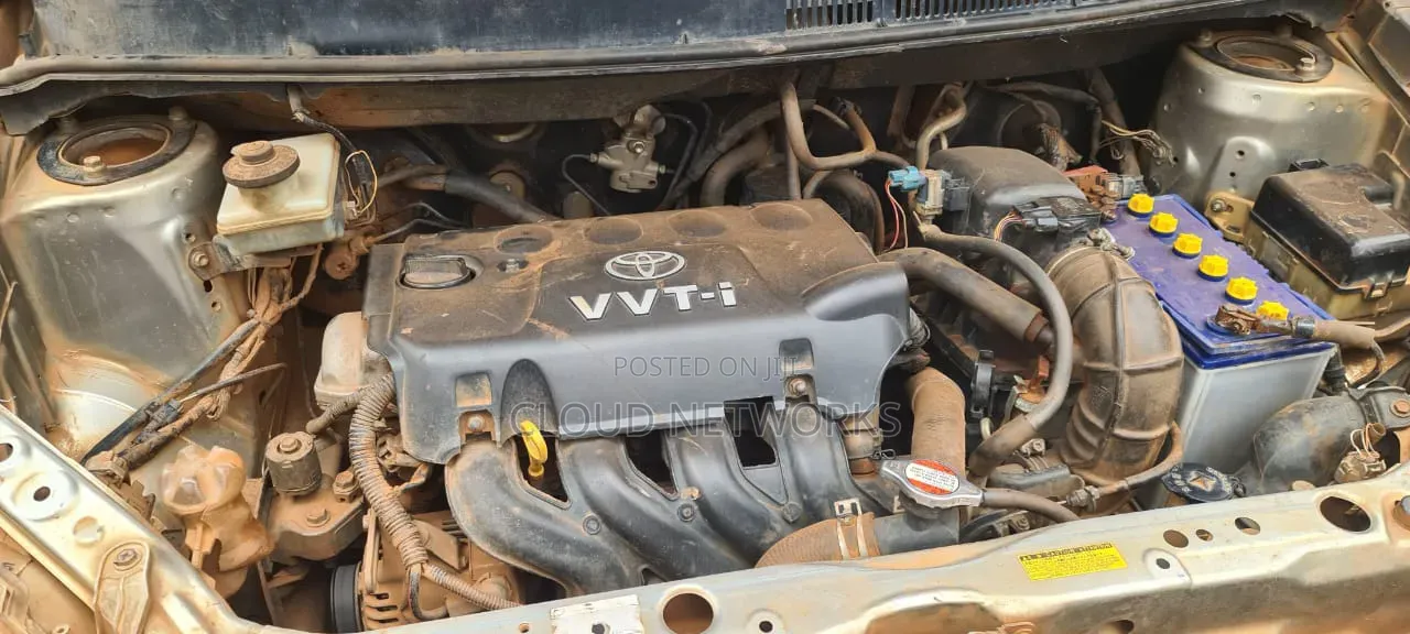 Toyota Raum 2009 Gold