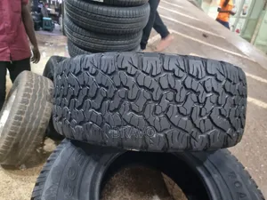 255/55r18 Good Rich for Tourage.