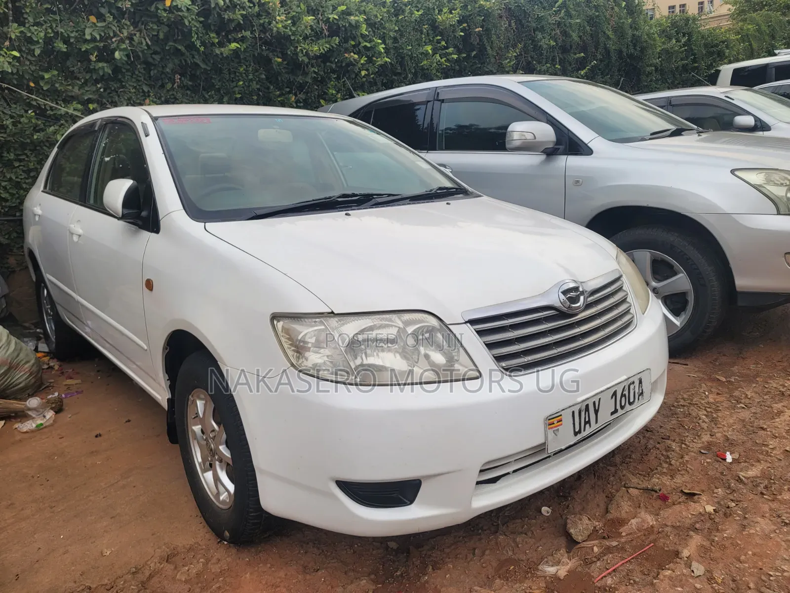 Toyota Corolla 2002 White