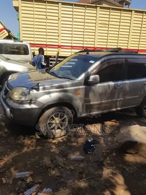 Nissan X-Trail 2005 Gray
