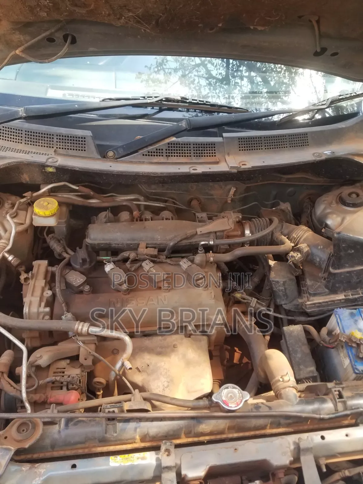 Nissan X-Trail 2005 Gray