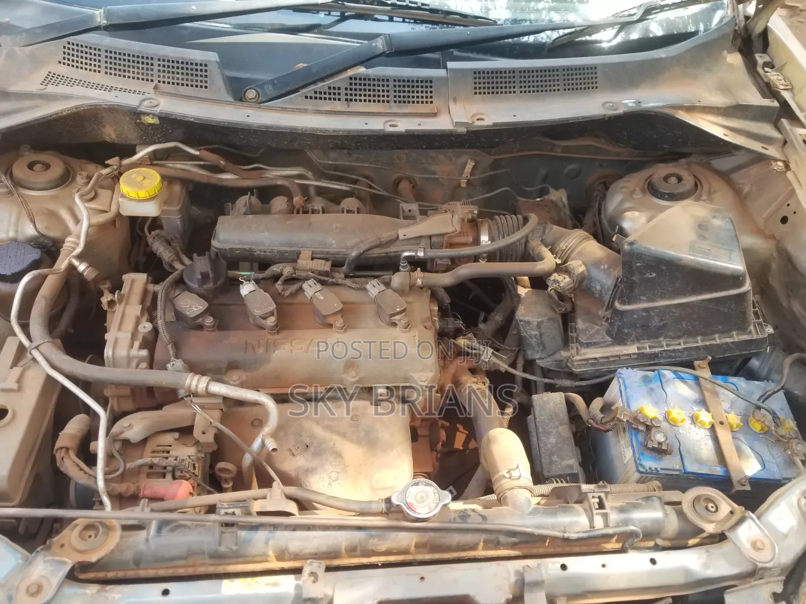 Nissan X-Trail 2005 Gray