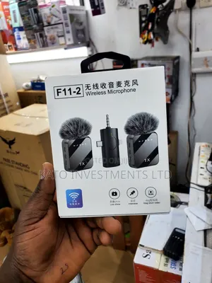 F11-2 3-in-1 Wireless Microphone System With Furry