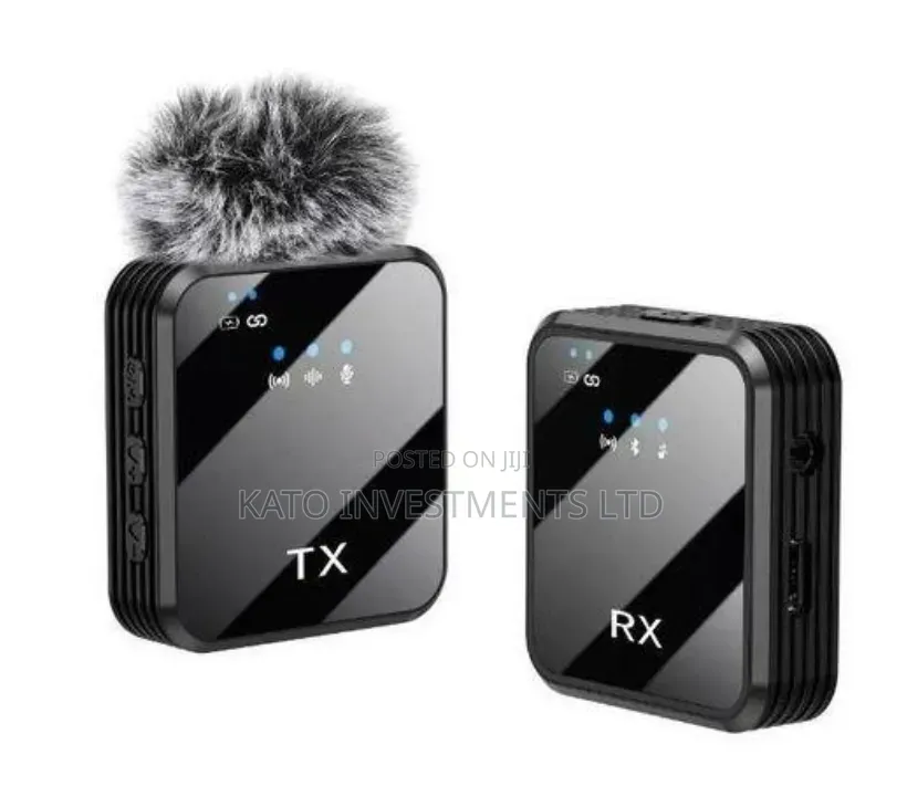 F11-2 3-in-1 Wireless Microphone System With Furry