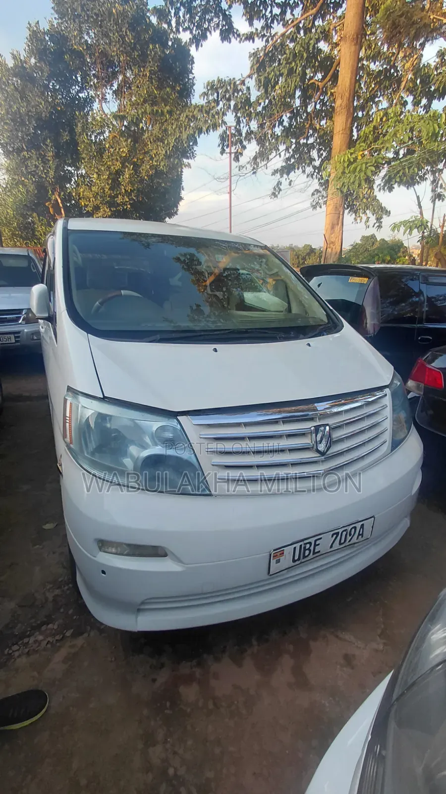 Toyota Alphard 2006 White