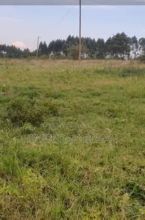 Land for Sell