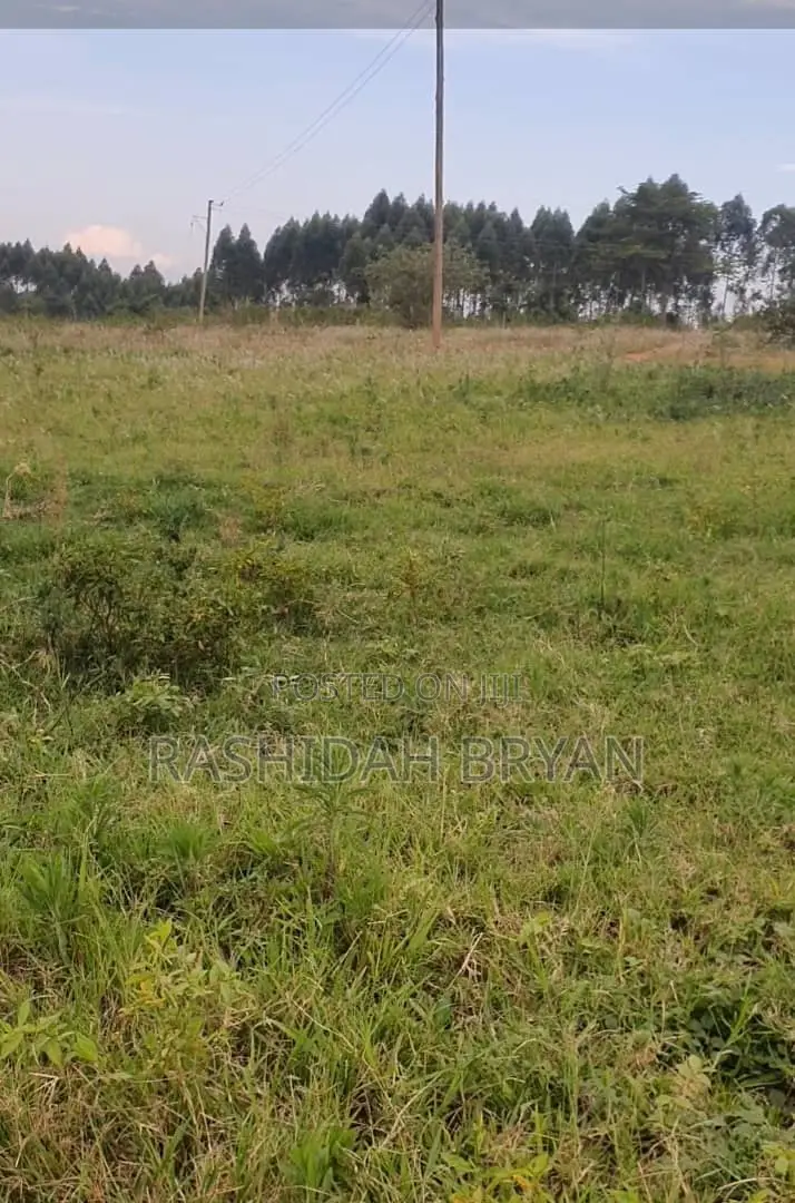 Land for Sell