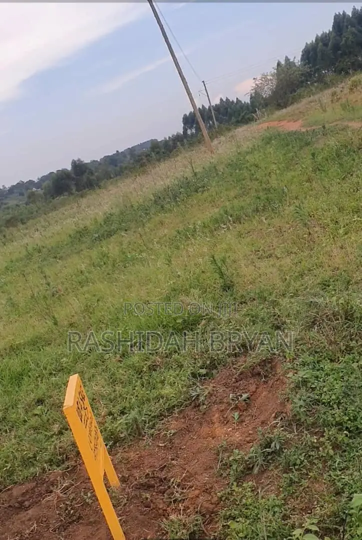Land for Sell