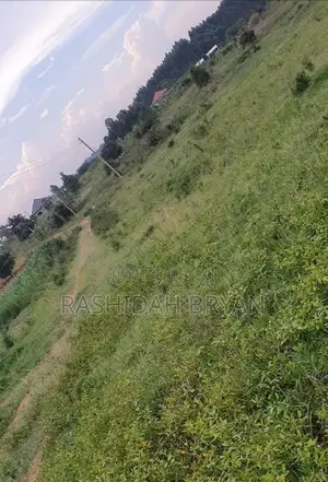 Land for Sell