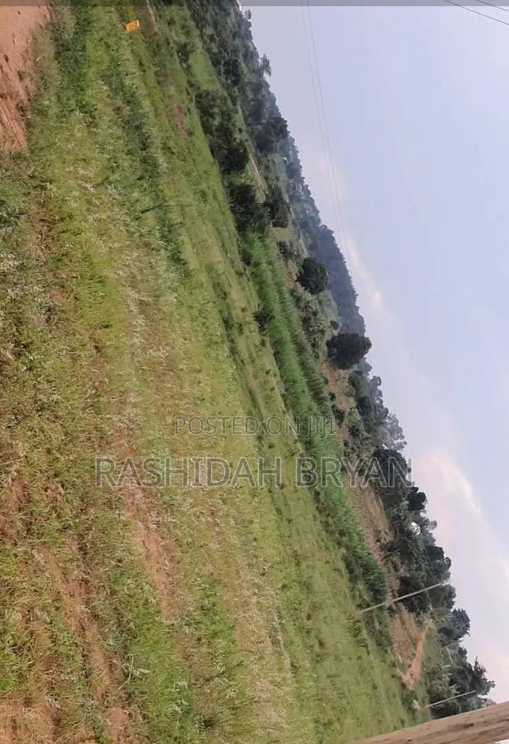 Land for Sell