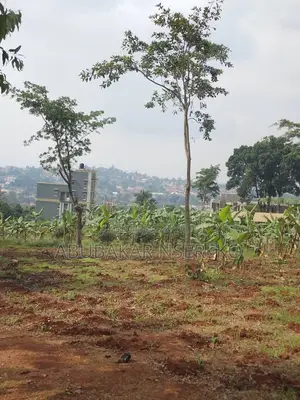 Busiika Vumba