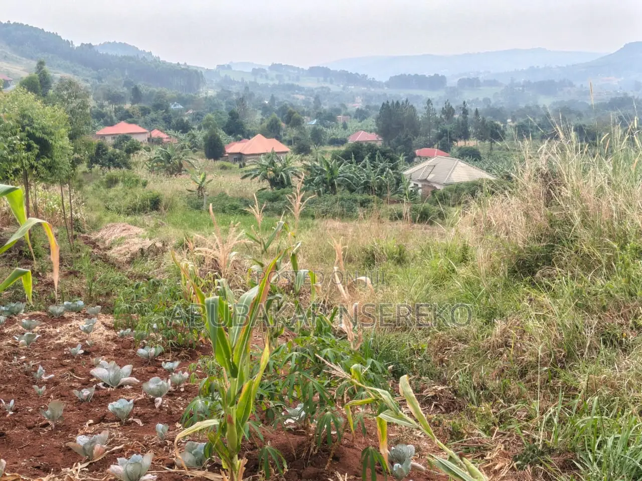 Busiika Vumba