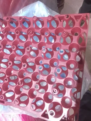 Plastic Egg Trays at Bundle -100pcs