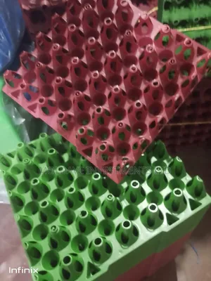 Plastic Egg Trays at Bundle -100pcs