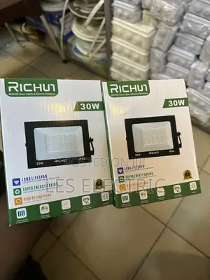 30watts Floodlight Richun