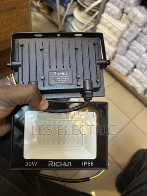 30watts Floodlight Richun