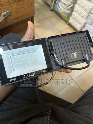 30watts Floodlight Richun