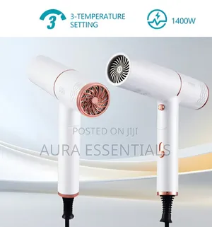 Winning Star ST-5738 Foldable Hair Dryer