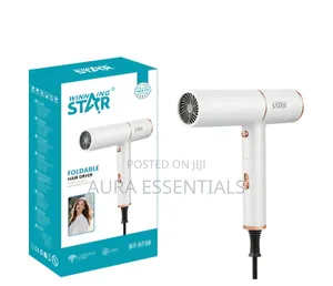 Winning Star ST-5738 Foldable Hair Dryer