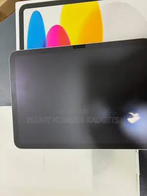 Apple iPad (2022) 256 GB Gray