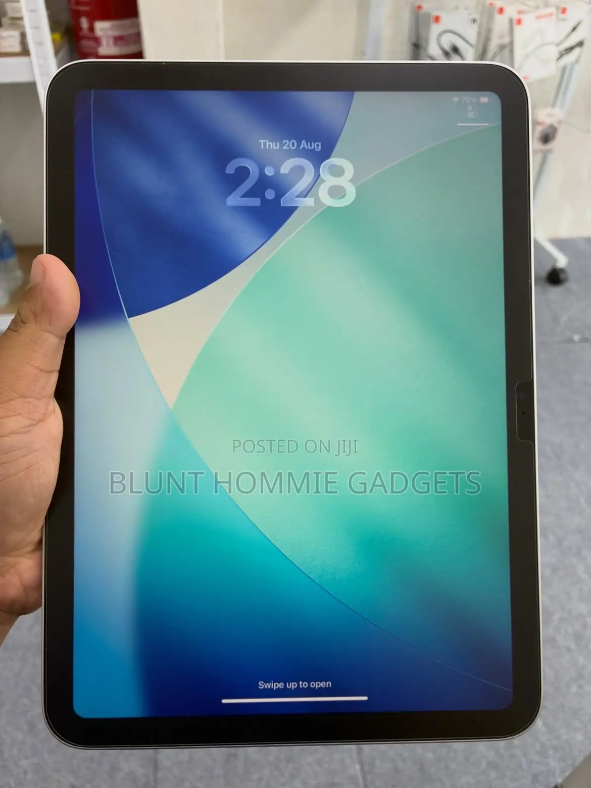 Apple iPad (2022) 256 GB Gray
