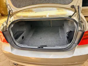 BMW 320i Sedan RWD 2008 Beige