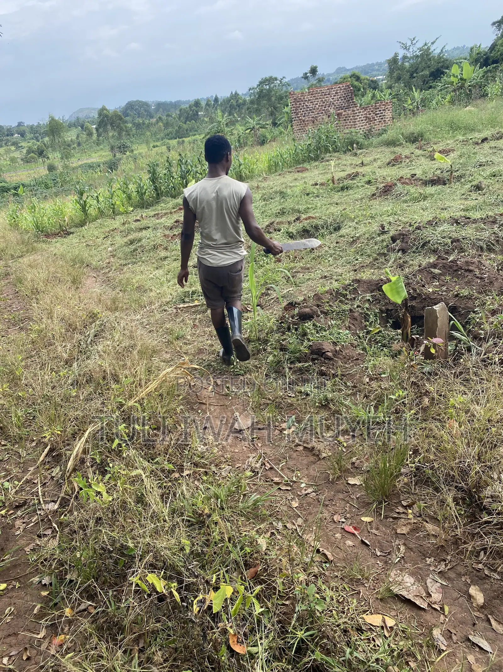 50x50ft Plot for Sell in Kalagi at Ugx 7m.Down Payment of 4m Accepted