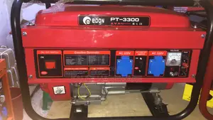 Pt3300 Petrol Generator