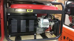 Pt3300 Petrol Generator