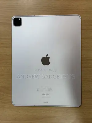 Apple iPad Pro 12.9 (2022) 256 GB Gray