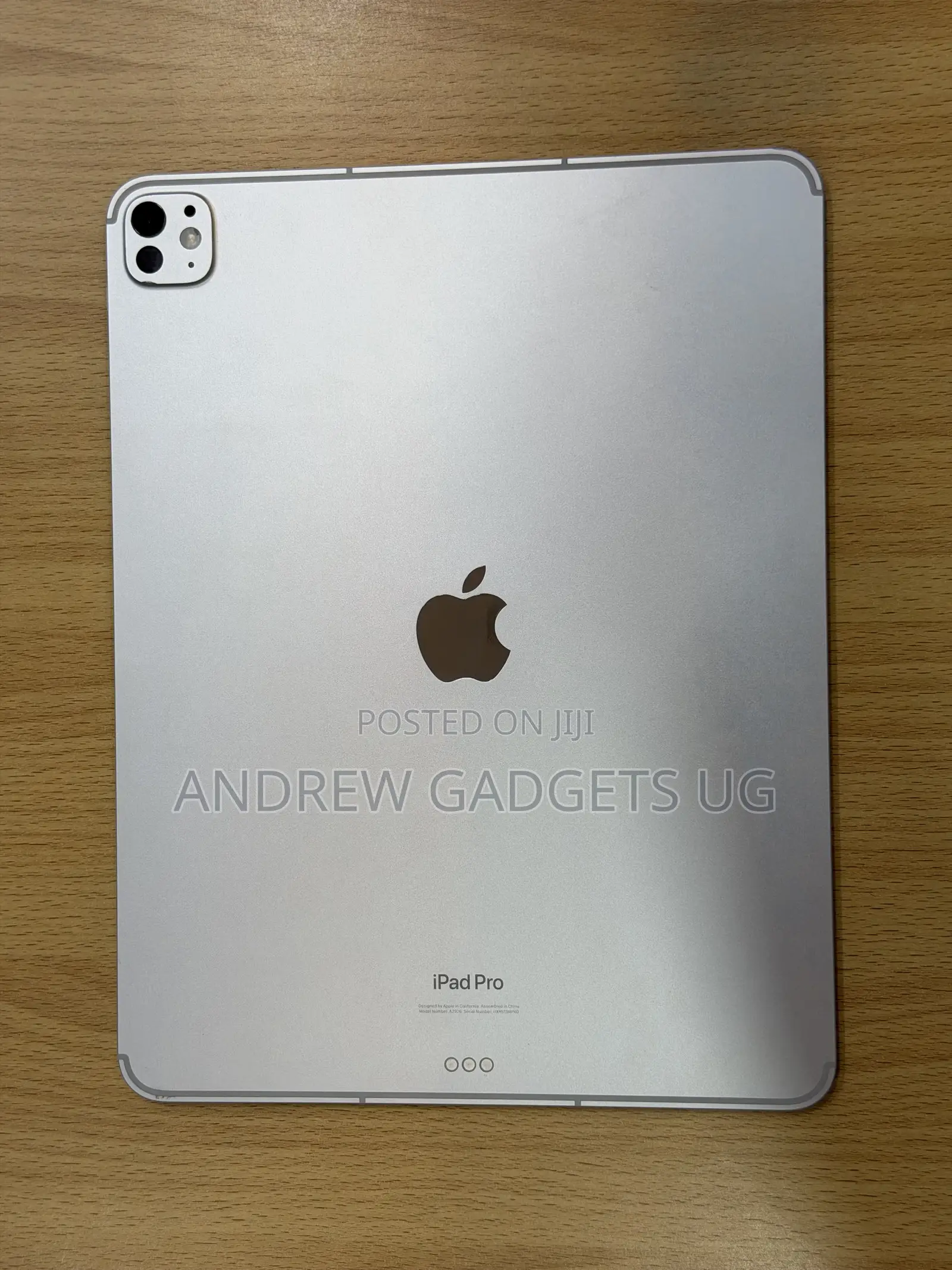 Apple iPad Pro 13 (2024) 256 GB Gray