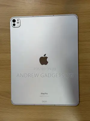 Apple iPad Pro 13 (2024) 256 GB Gray