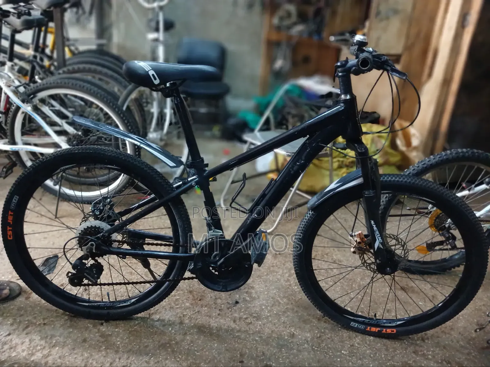 Mountain Bike