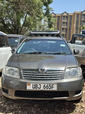 Toyota Corolla Fielder 2005 Gold