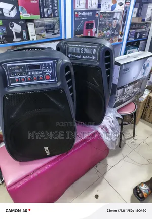 Ailipu SP-9039AD Professional Sound Speaker System,