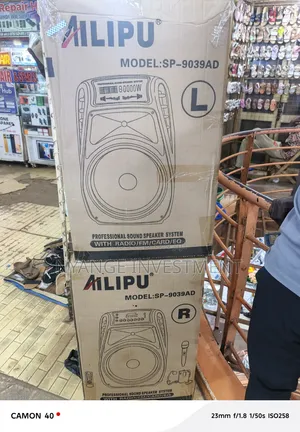 Ailipu SP-9039AD Professional Sound Speaker System,
