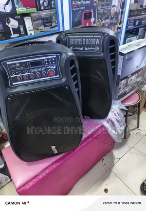 Ailipu SP-9039AD Professional Sound Speaker System,