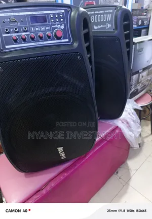 Ailipu SP-9039AD Professional Sound Speaker System,