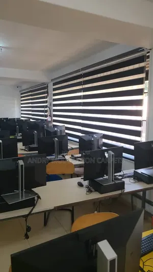Combi Zebra Blind Curtains