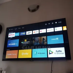 Sky Worth 65inch
